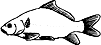 icarp.gif (2248 bytes)