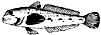 igoby.gif (2683 bytes)